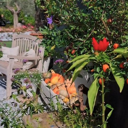 Casa Autunno 호텔 몬잠바노 외부 사진