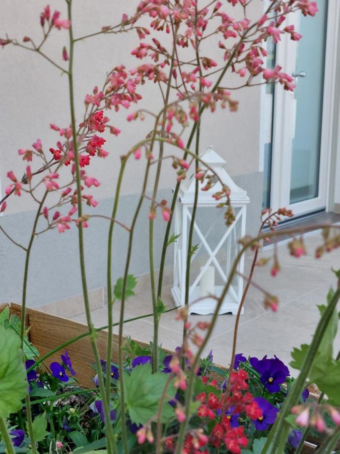 Casa Autunno 호텔 몬잠바노 외부 사진
