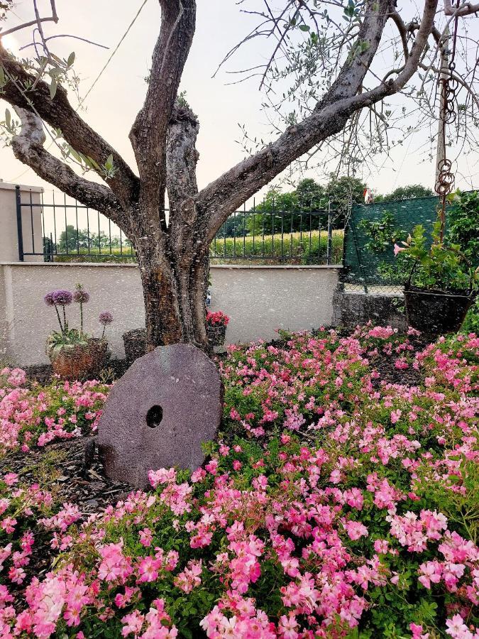 Casa Autunno 호텔 몬잠바노 외부 사진