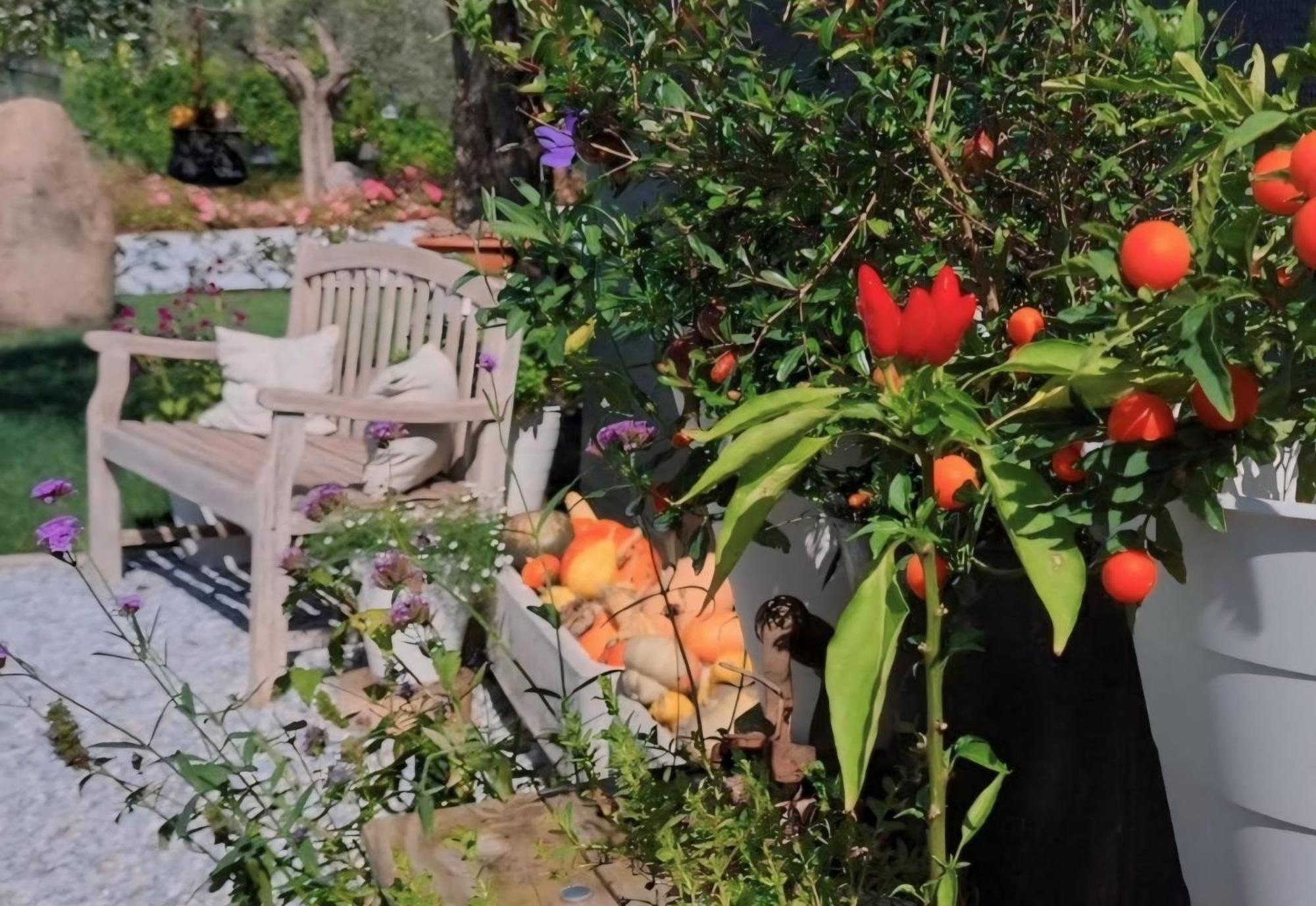 Casa Autunno 호텔 몬잠바노 외부 사진